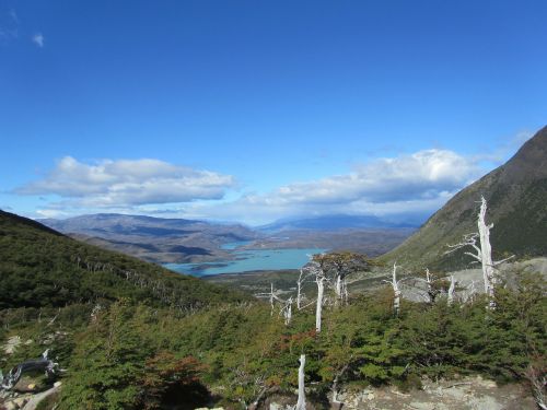 Patagonia, Čile, Torres Del Paine, Nacionalinis Parkas, Valle Frances, Gamta, Slėnis