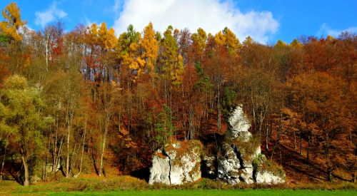 Tėvystės Nacionalinis Parkas, Lenkija, Kraštovaizdis, Medis, Ruduo, Akmenys, Supa Gamta, Gamta