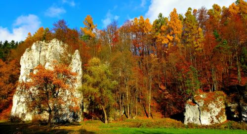 Tėvystės Nacionalinis Parkas, Lenkija, Kraštovaizdis, Gamta, Ruduo, Akmenys, Supa Gamta