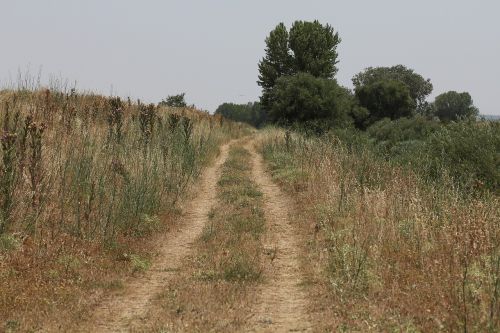 Kelias, Kraštovaizdis, Gamta, Takas, Laukas