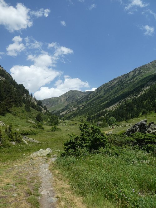Kelias,  Medžiai,  Kalnų,  Andora