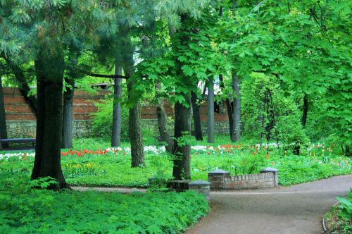 Sodas,  Botanikos,  Kelias,  Medžiai,  Žalias,  Kelias Ir Medžiai Maskvoje