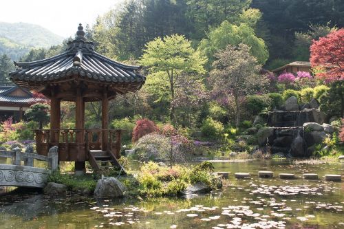 Paviljonas, Korėjiečių Kalba, Tradicinis, Architektūra, Vanduo, Srautas, Miškas, Žalias