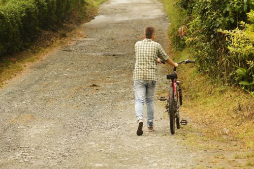 Valstiečiai, Gamta, Armėnija, Quindio, Kolumbija, Darbas