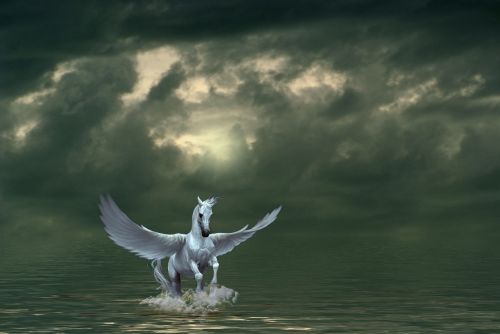 Pegasus, Sudėtinis, Arklys, Gyvūnas, Tamsi, Dangus