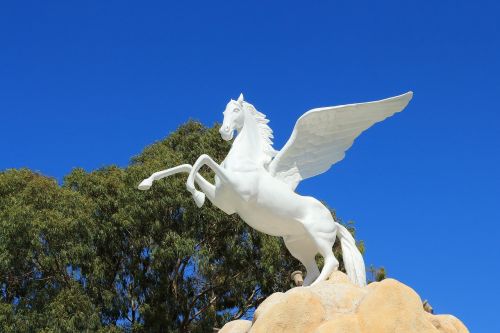 Pegasus, Rodos, Arklys, Graikija, Balta, Aukštis