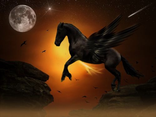 Pegasus, Mėnulis, Šokinėti, Rokas, Auksas, Jaunimas, Laisvė, Siluetai, Naktis, Nuotaika, Atmosfera, Žvaigždė, Paukščiai, Sparnas, Arklys, Raves, Šviesa, Atmosfera, Dangus, Gamta, Romantiškas, Twilight, Saulėlydis