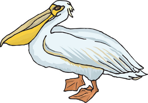 Pelican, Jūros Paukštis, Maišas, Pelecanidae, Pelecanus Erythrorhynchos, Nemokama Vektorinė Grafika