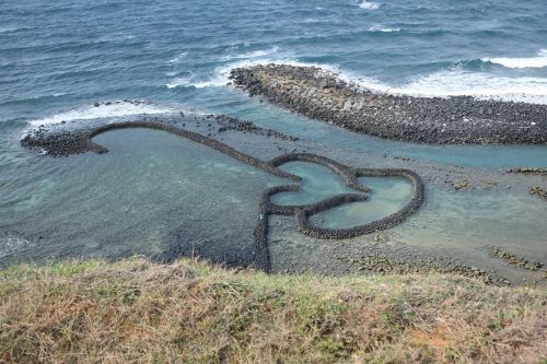 Penghu, Papludimys, Meilė