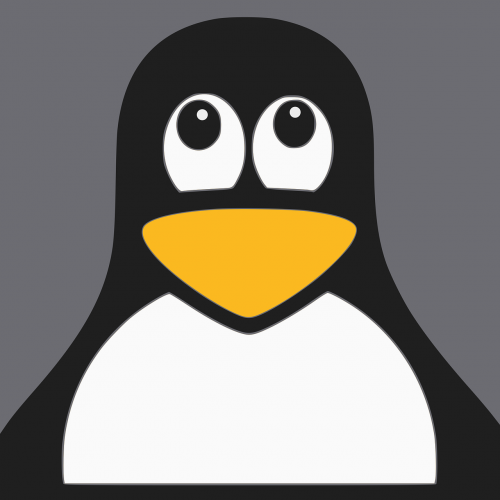 Pingvinas, Linux, Gyvūnas, Paukštis, Mielas, Juokinga, Animacinis Filmas, Nemokama Vektorinė Grafika