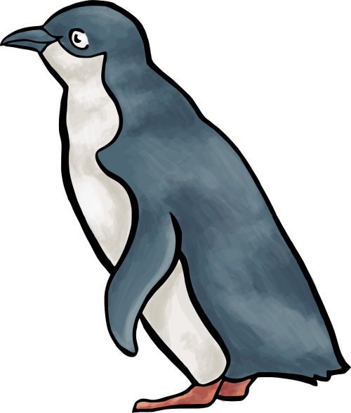 Pingvinas, Paukštis, Linux, Nemokama Vektorinė Grafika