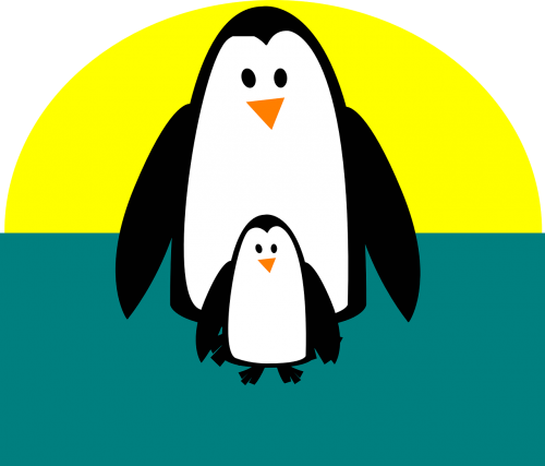 Pingvinas, Suaugęs, Mielas, Gyvūnas, Kūdikių Pingvinas, Nemokama Vektorinė Grafika