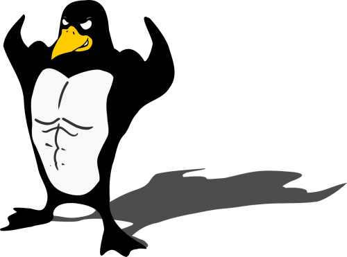 Pingvinas, Paukštis, Laukinė Gamta, Smokingas, Raumeningas, Animacinis Filmas, Antarctica, Pietų Ašigalis, Juokinga, Stiprus, Komiksas, Nemokama Vektorinė Grafika