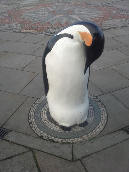 Pingvinas, Dundee, Šaltas