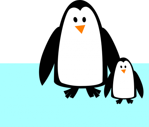 Pingvinas, Gyvūnas, Kūdikių Pingvinas, Animacinis Filmas, Nemokama Vektorinė Grafika