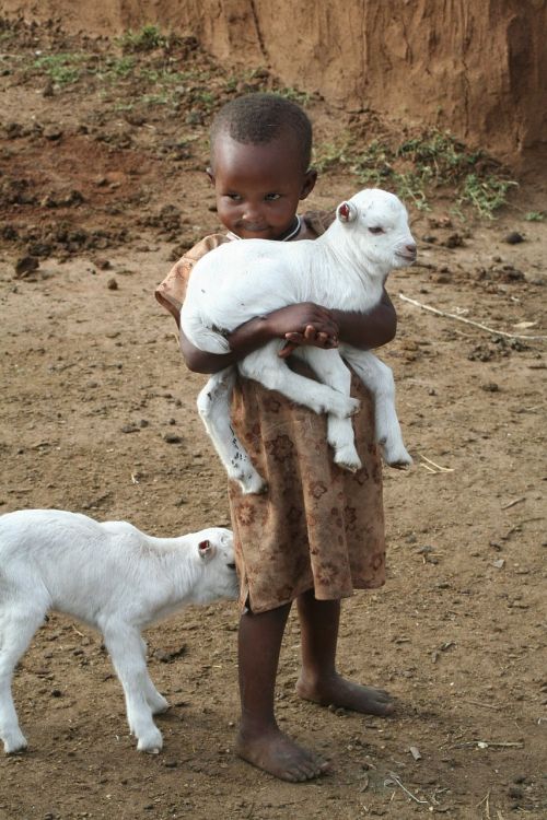 Vaikas, Afrika, Ėriena, Kenya, Žmonės, Skurdas