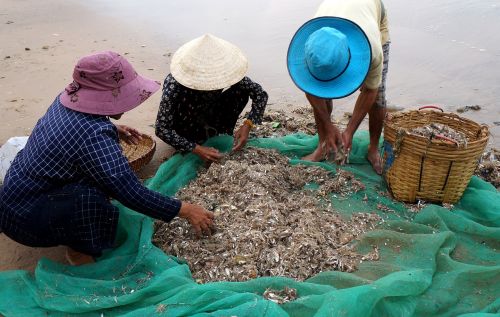 Žmonės, Žvejų Kaimelis, Gyvenimas, Vietnamas