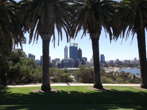 Perth, Miestas, Medžiai, Australia, Parkas, Kraštovaizdis, Dangoraižis, Vaizdas, Miesto Panorama