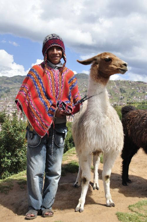 Peru, Žinduolis, Andes, Lama, Aukštis, Pončo