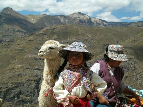 Peru, Aborigenai, Lama, Kostiumas, Andes, Atostogos, Costování