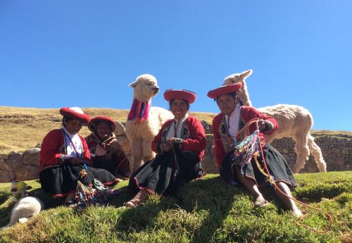Peru, Andes, Paveldas, Žmonės, Tradicinis, Lamas