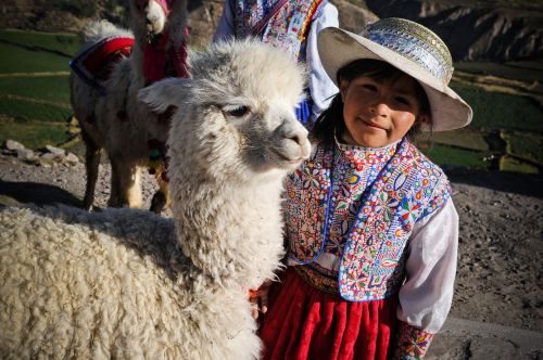 Peru, Kolka Slėnis, Inca, Ande, Maža Mergaitė, Ašmenys, Alpaka