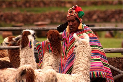 Peru, Lama, Gyvūnai, Redneck, Žmonės, Žmonija, Žmogus, Atostogos, Turizmas