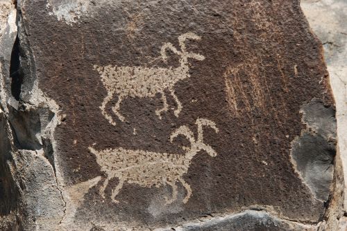Petroglyfas, Vaizdas, Įbrėžimai, Nuleidimas, Indėnas, Elnias, Vašingtono Valstija, Šiaurės Amerika