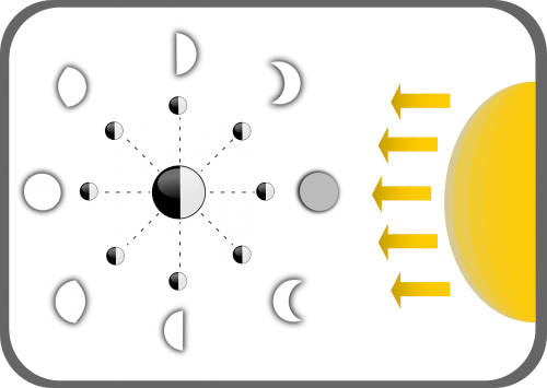 Mėnulio Fazės, Mėnulis, Diagrama, Astronomija, Saulė, Mėnuo, Šviesa, Šešėlis, Nemokama Vektorinė Grafika