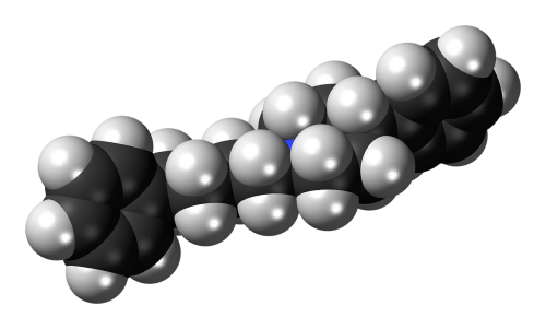 Fenil-Fenilbutil-Piperidinas,  Ppbp,  Chemija,  Atomai,  Modelis,  Bondings,  Tyrimai,  Junginys