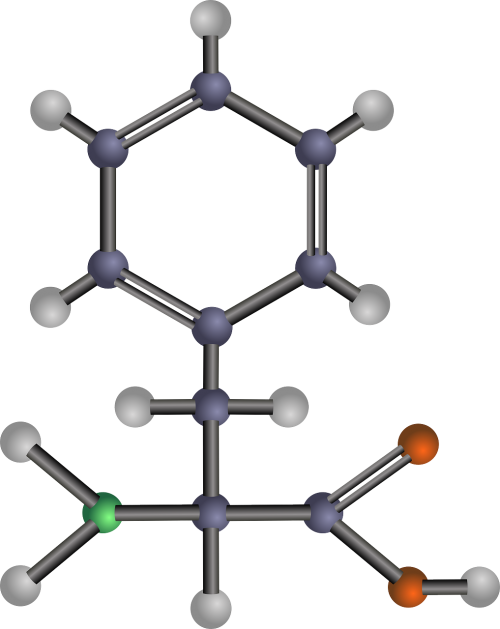 Fenilalaninas, Chemija, Cheminė Struktūra, Nemokama Vektorinė Grafika