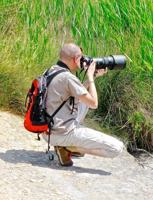 Fotografas, Gamta, Nuotrauka, Priartinti, Nuotraukos, Fotografija