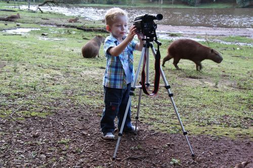 Fotografas, Pelkė, Capybara