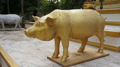 Kiaulė, Statula, Auksas, Priemonė, Tailando Šventykla