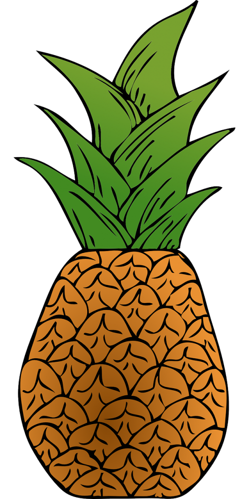 Ananasai, Egzotiškas, Vaisiai, Augalas, Augmenija, Nemokama Vektorinė Grafika