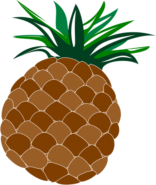 Ananasai, Maistas, Vaisiai, Hawaii, Havajų Kalba, Luau, Nemokama Vektorinė Grafika