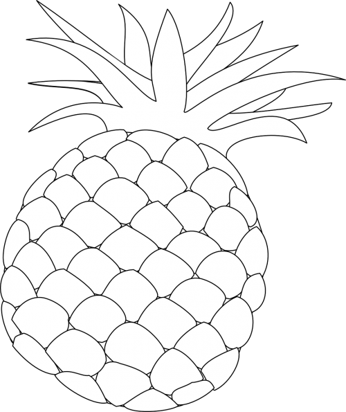 Ananasai, Kontūrai, Maistas, Vaisiai, Sveikata, Hawaii, Saldus, Sveikas, Nemokama Vektorinė Grafika