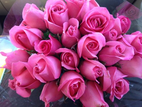 Rožinis, Rožės, Gėlė, Puokštė, Gėlių, Meilė, Romantiškas, Valentine, Dovanos