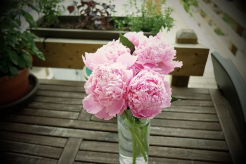 Rožinis, Gėlės, Vazos