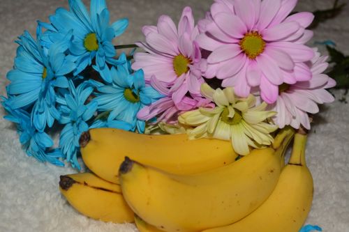 Bananas,  Gėlės,  Daisy,  Makro,  Išsamiai,  Uždaryti,  Spalvinga,  Flora,  Gėlių,  Sodas,  Žydi,  Žiedai,  Vaisiai,  Sveikas,  Maistas,  Desertas,  Saldus,  Užkandis,  Rožinės Mėlynos Raudonos Bananų Vaisių