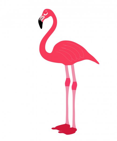 Flamingo,  Paukštis,  Rožinis,  Gyvūnas,  Animacinis Filmas,  Iliustracijos,  Balta,  Fonas,  Iliustracija,  Menas,  Scrapbooking,  Rožinė Flamingo Paukščio Iliustracija