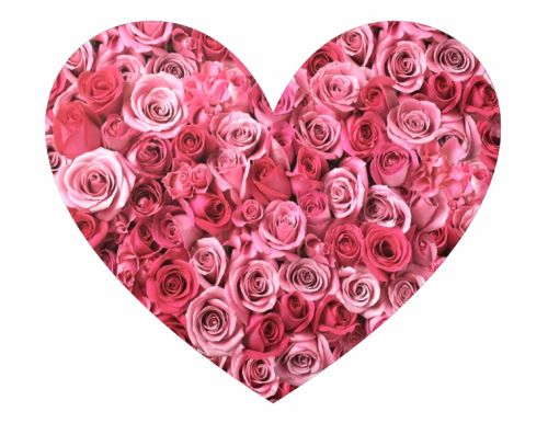 Širdis,  Rožinis,  Rožės,  Rožė,  Gėlės,  Karštas,  Fuschia,  Figūra,  Rožinė Rožių Širdis