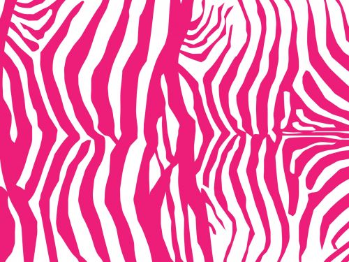 Zebra,  Oda,  Modelis,  Fonas,  Tapetai,  Rožinis,  Zebra & Nbsp,  Oda,  Menas,  Iliustracija,  Balta,  Scrapbooking,  Rožinė Zebras Odos Fonas