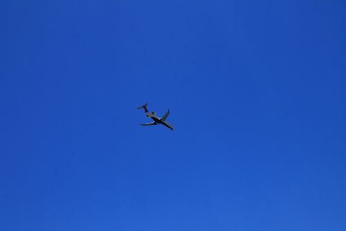 Lėktuvas, Dangus, Mėlynas, Aišku