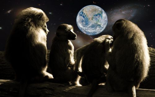 Beždžionių Planeta, Ape, Babuinai, Visata, Žemė, Perspektyva, Žiūrėti Televizorių, Šeima, Šventė, Abendstimmung, Po Darbo, Pasaulis, Regėjimas, Pasinerti, Sanglauda, Tvarumas, Ateitis