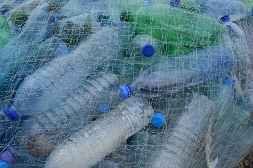 Plastikiniai Buteliai, Žvejybos Tinklas, Užskaitos, Butelis, Papludimys, Išvalyti, Šiukšlių, Perdirbimas, Šiukšlės
