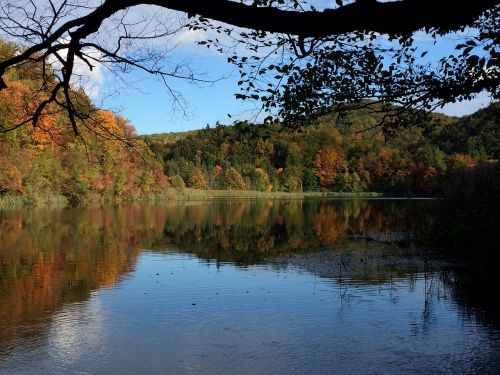 Plitvice, Kroatija, Vanduo, Kraštovaizdis, Gamta, Krioklys, Miškas, Ežeras, Kelionė, Europa, Žalias, Nacionalinis, Turizmas, Parkas, Kaskados, Aplinka, Upė, Medis, Natūralus, Mėlynas, Idiliškas, Augalas, Švarus, Akmuo, Lauke, Peizažas, Mediena, Šviežias, Ramus, Dangus