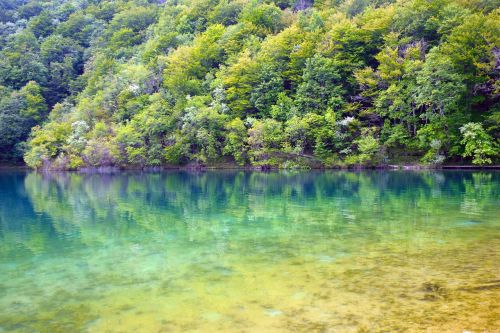 Plitvice Nacionalinis Parkas, Krioklys, Vanduo, Žalias, Kroatija, Plitvice, Kraštovaizdis, Gamta, Kaskados, Miškas, Ežeras