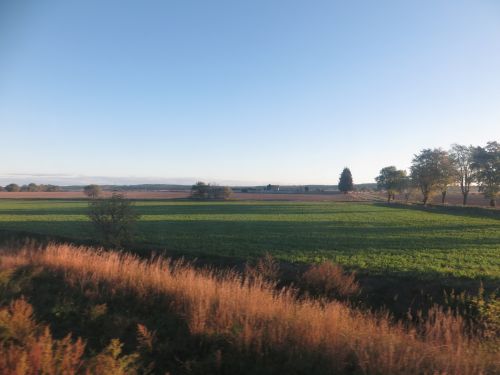 Ruduo,  Laukas,  Rudens Kraštovaizdis