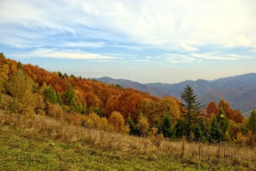 Lenkija, Pieninis, Ruduo, Saulė, Spalvos, Lapija, Šventė, Kraštovaizdis, Kalnai, Gamta, Žalias, Takas, Miškas, Medis, Vaizdas, Turizmas, Saulėtas, Kelionė, Horizontas, Ramybė, Tyla, Mėlynas Dangus, Dangus, Spalvinga